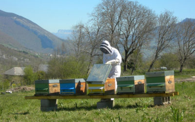Un rucher école à L’Herbier de la Clappe