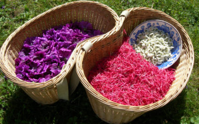 Les vœux de L’Herbier de la Clappe