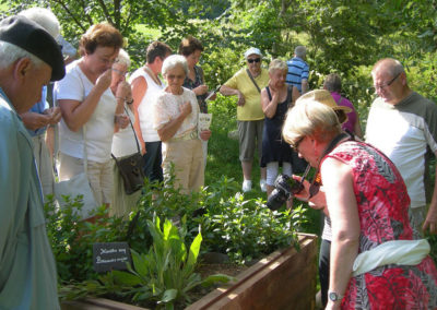 Visite du jardin de L'Herbier de la Clappe