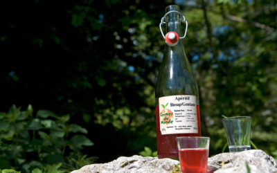 Dégustations des apéritifs aux plantes