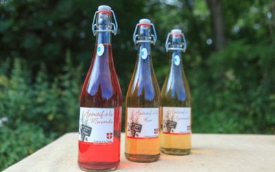 Dégustation apéritifs Bio aux plantes et BlanChô