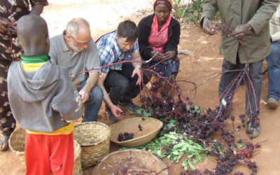 Fermes du Monde au Burkina Faso et Bénin