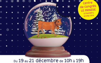 Marchés de Noël à Annecy et Chambéry